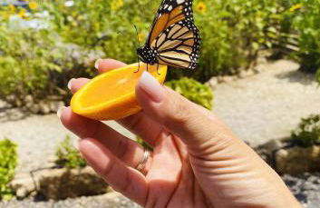 A-Nueva! Magec vip jacuzzi privado - Foto 39