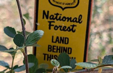 Peaceful Pines Place, a cozy mountain hideaway wAC - Foto 36