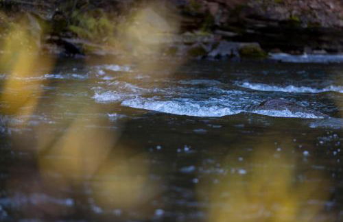 Slippery Rock River Ranch - Foto 69