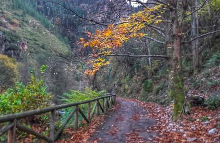 Apartamentos Rurales Balcón Real Senda del Oso - Foto 49