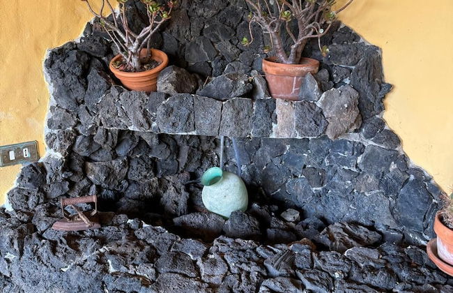 Oasis Hill Botanical Garden - Foto 72