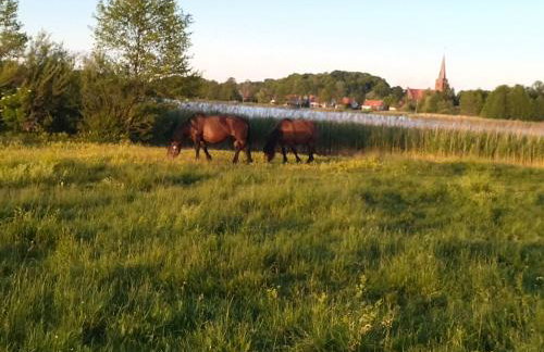 Domki Orla na Mazurach - Photo 38