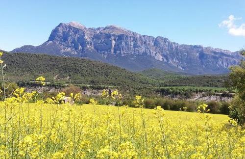Apartamento El Fenal de Turmo Casa rural "El Capricho de Nieves" - Photo 98