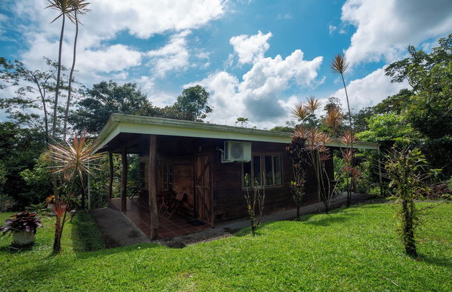 Villas Josipek - Photo 41