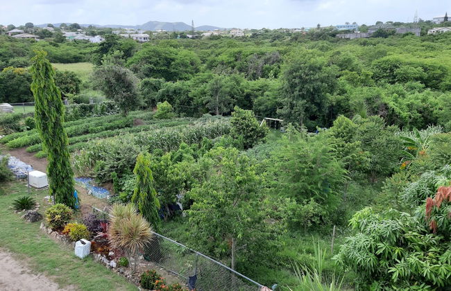 LambLion Holiday Apartments - Photo 23