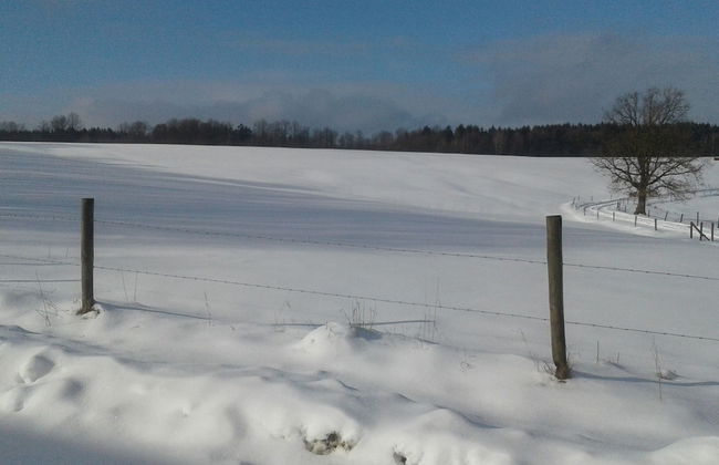 Countryside Holiday Home in Theux With Fenced Garden and BBQ - Foto 29