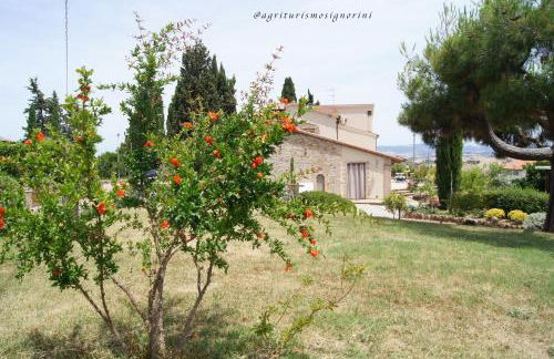 Agriturismo Signorini - Foto 67