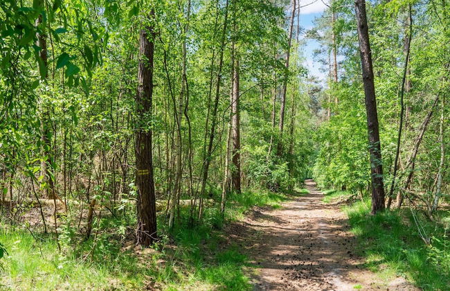 Serene Forest Stay With Comfort - Photo 40