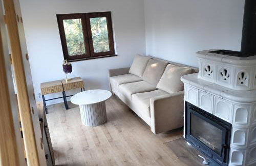 Osada Blanka Leśny Zakątek Jezioro Rzeka Swornegacie - Foto 60