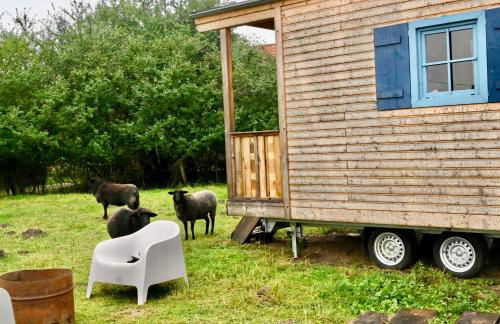 Autarker Schäferwagen mit Kamin ganzjährig nutzbar - Foto 14