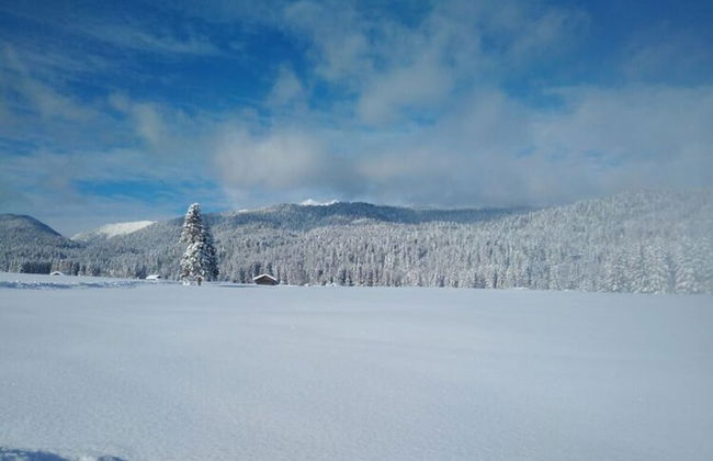 No. 2 - Country House Geierstanger - Foto 13