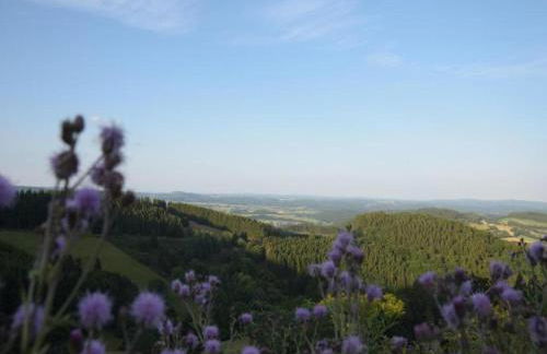Gemütliche Ferienwohnung in Medebach - Foto 26