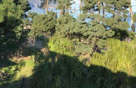 Villa Calipso - Foto 8