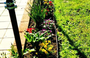 FeWo Ulbrich Langenstadt - Foto 20