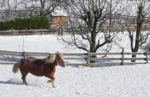 Appartments Neuhof - Photo 53