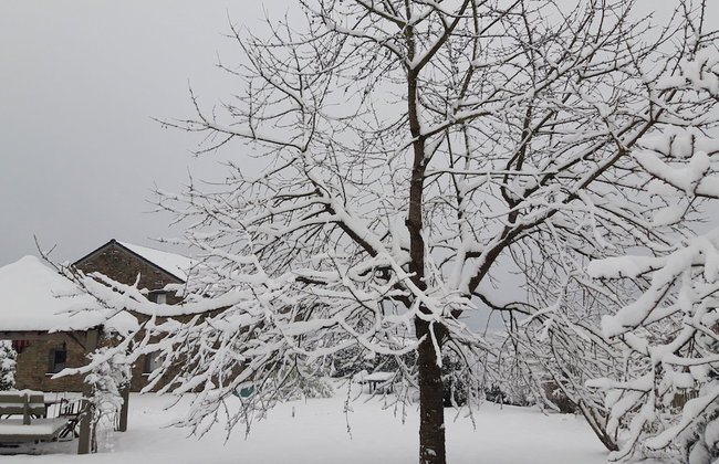 Charming Ardennes Getaway - Foto 77