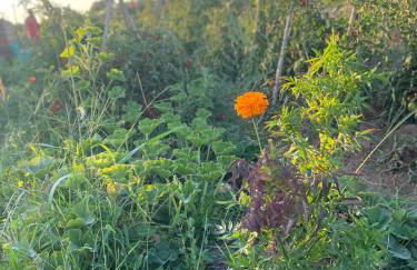 dalla campagna al mare - Foto 28