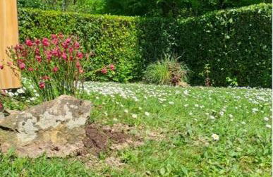 Notre Refuge - Foto 8