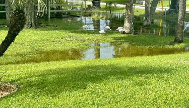 Sunny Oasis Getaway -Heated Pool-Mini Golf-Near Beach - Foto 2