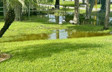 Sunny Oasis Getaway -Heated Pool-Mini Golf-Near Beach - Foto 2