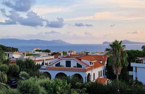 Casa Olivella - Foto 1