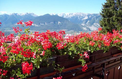 Agritur Rizzi di Inama Ugo - Foto 28