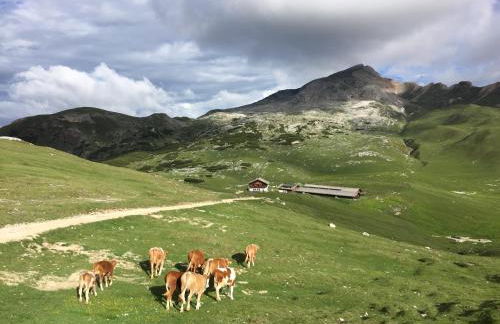 Alpinus Agriturism - Photo 57