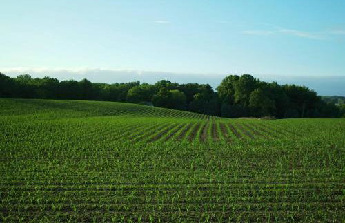 Nature Valley Farm- 2BD/1BA on private 53 acres - Foto 60