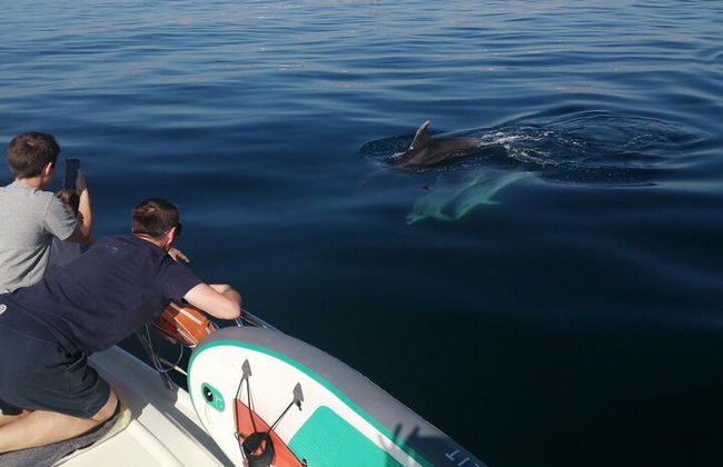 Yate privado de día completo desde lagos con bebidas, tapas, tablas de paddle y kayak. - Foto 13