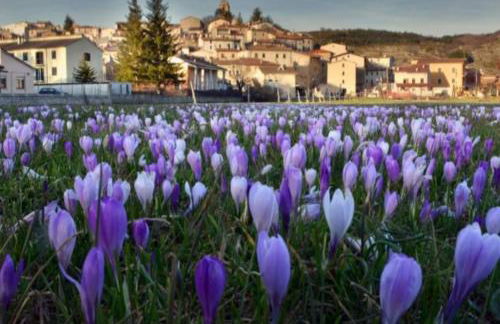 Casetta del Rione - Foto 14