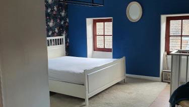 Irie Vibes - Photo 4