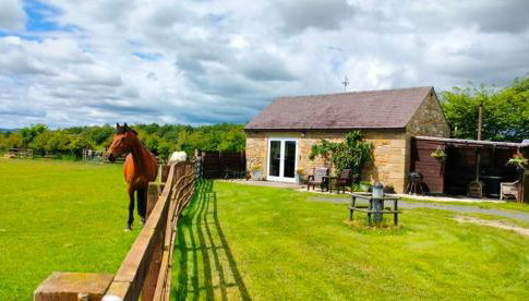 The Hideaway with hot tub - Foto 1