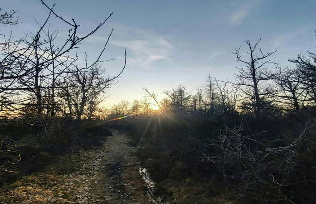 Holiday Home in Somme-leuze With Pool & Sauna - Foto 42