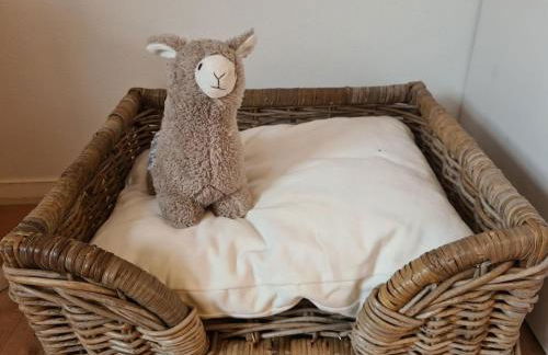 Haus Waldstein Gipfelstürmer - Foto 7