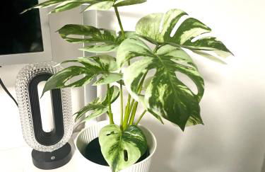 Modern Urban Studio Apartment S-Bahn 27QM for 6 persons Mercedes-Benz - Foto 18