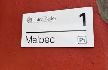 FINCA ENTREVIÑEDOS de Bodegas Marcos - Foto 33