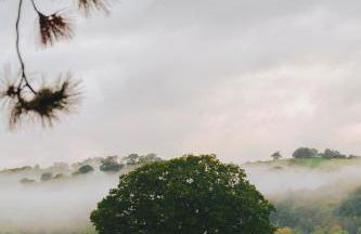 Amberwood Lodge - Photo 44