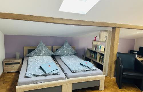 Ferienwohnungen Bachblick - Foto 30