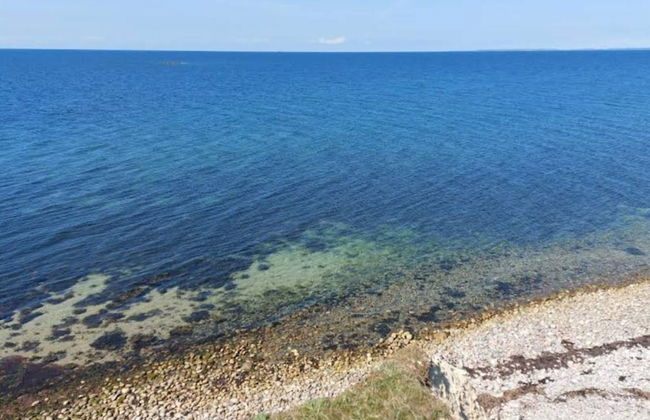 6 Person Holiday Home in Gorlev - Foto 30