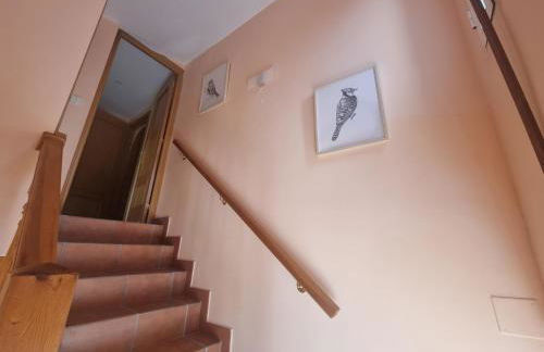 VUT EL Mogollón - Foto 80