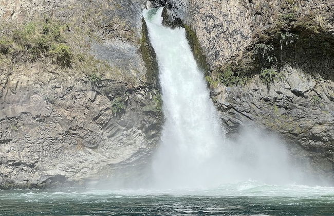 Cabañas Pewma Futrono - Foto 74