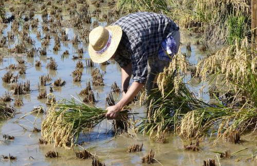 Apartamento Plaza de la Iglesia - Foto 16