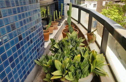 Ver o Mar - Rio Vermelho - Foto 13