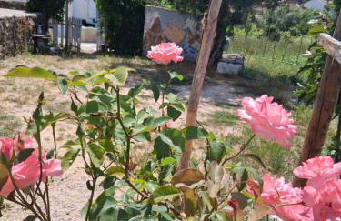 Nova Aurora - Foto 9