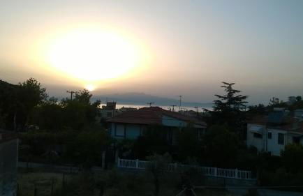 VILLA OLGA - Photo 28