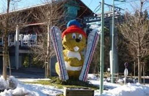 Un Isard au Pied des Pistes - Foto 15