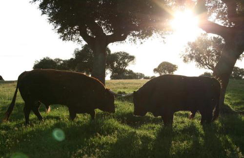 Casa Rural La Cuadraá - Foto 63