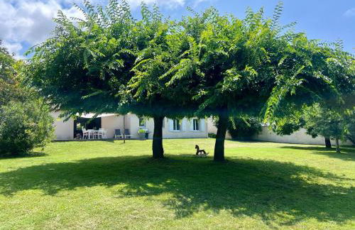 Maison contemporaine près de la mer - Foto 23