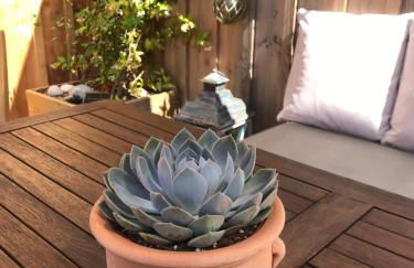 Cocon entre presqu'île du Cap Ferret et plages océanes - terrasse - 1 vélo gratuit - Foto 58