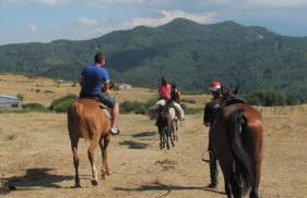 La terra dei ciliegi tra l'Etna e il mare di Taormina - Foto 58